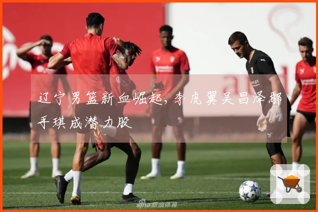 辽宁男篮新血崛起,李虎翼吴昌泽鄢手琪成潜力股