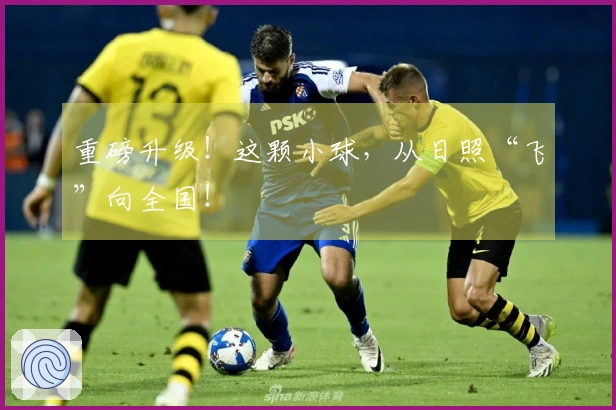 重磅升级！这颗小球，从日照“飞”向全国！