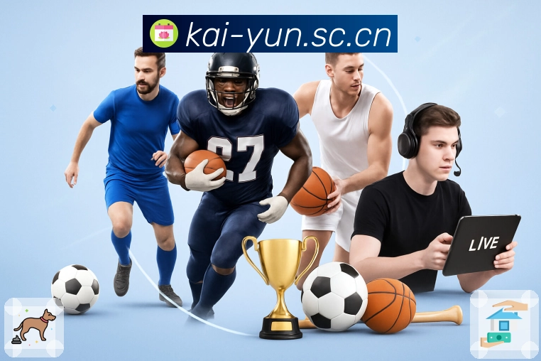 开云省流量观赛App下载