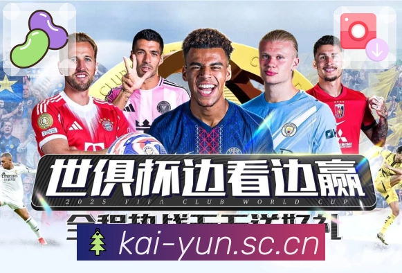 省流模式 - 清晰度与流量控制